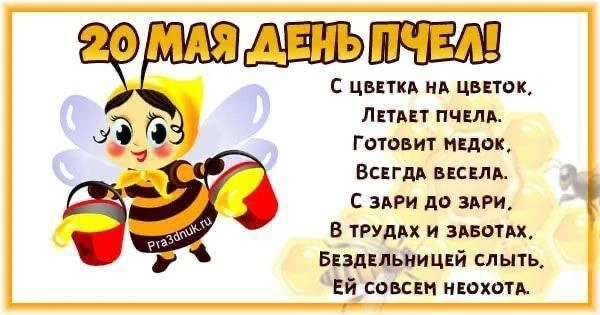 ♻В эфире рубрика "Экологический вестник"♻