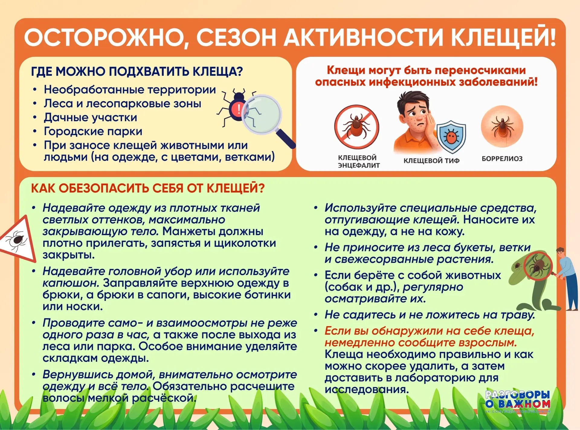 Памятка: осторожно, сезон активности клещей!
#МБОУЗайчиковскаяОШ