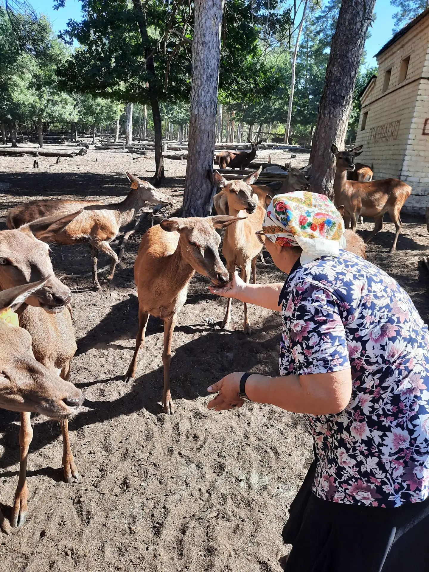 ДЛЯ НЕМЕДЛЕННОГО РАСПРОСТРАНЕНИЯ ‼️
