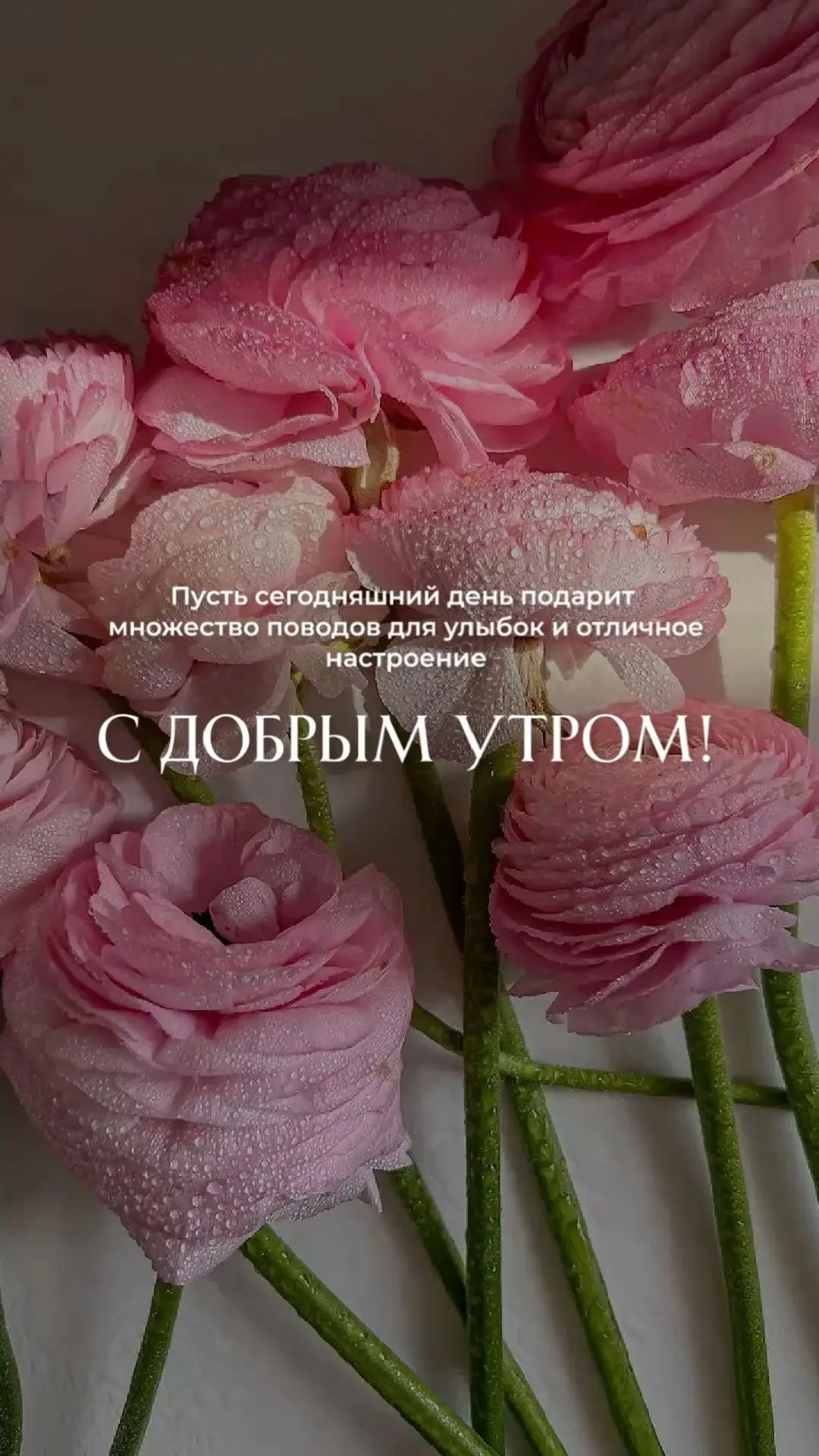 Девочки, доброе утро 🌸
Продуктивного и позитивного дня вам!