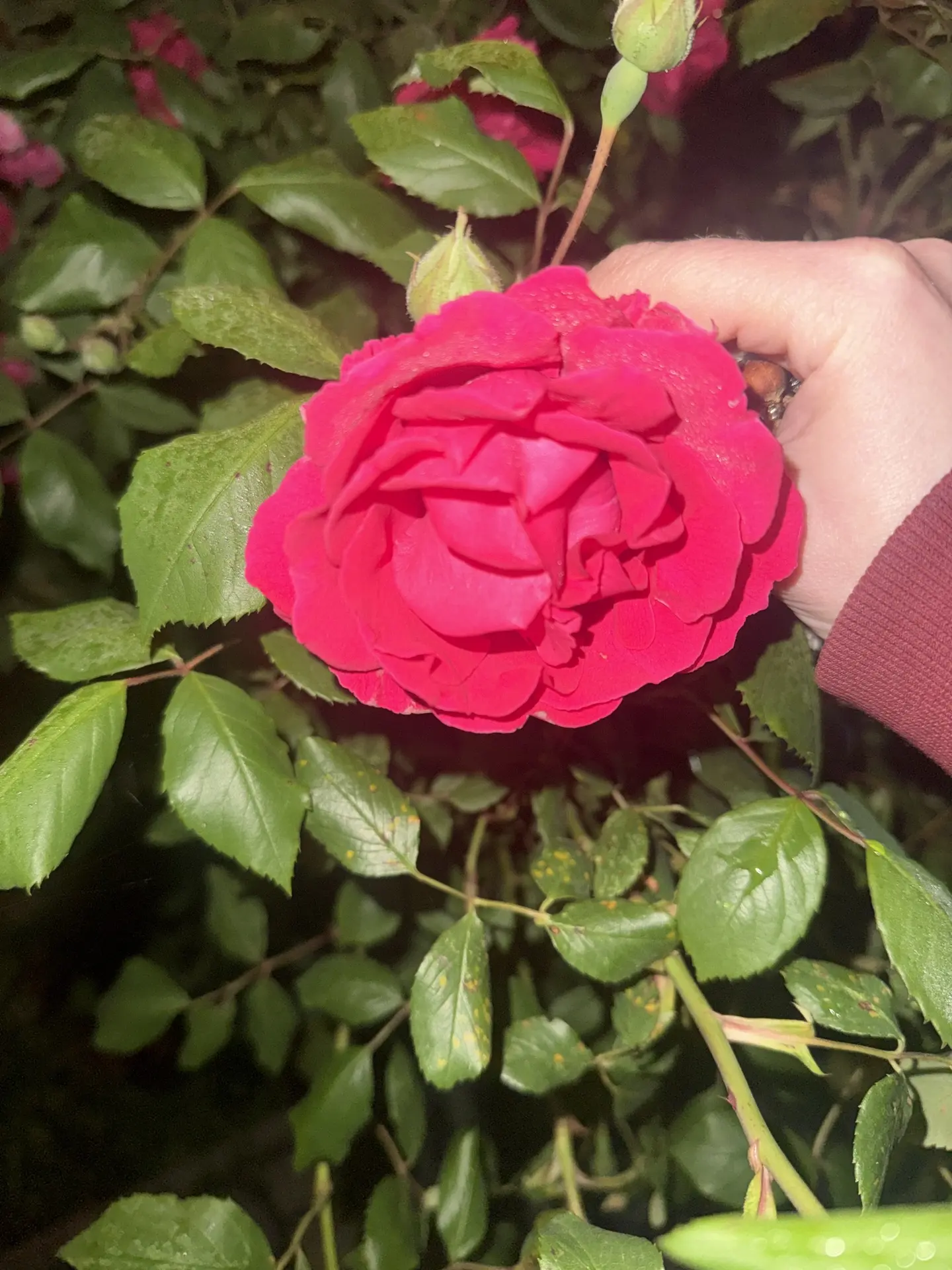 Доброе солнечное утро, дорогие😍