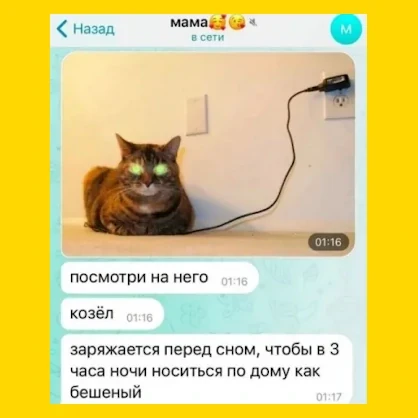 Полный Хохотамбл! Подпишись скорее