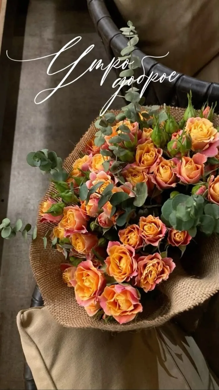 Поздравления для Настроения💌