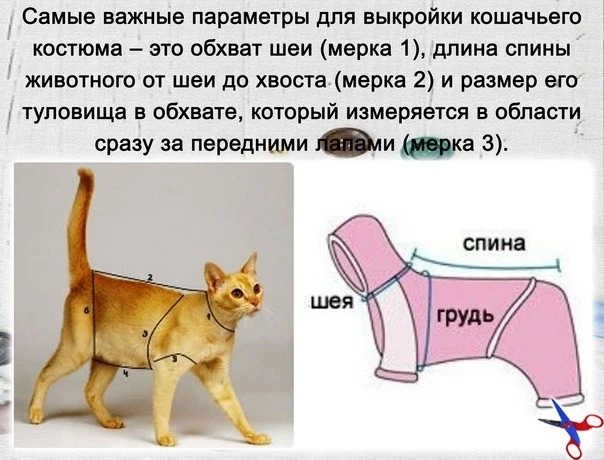 Берём на заметку!