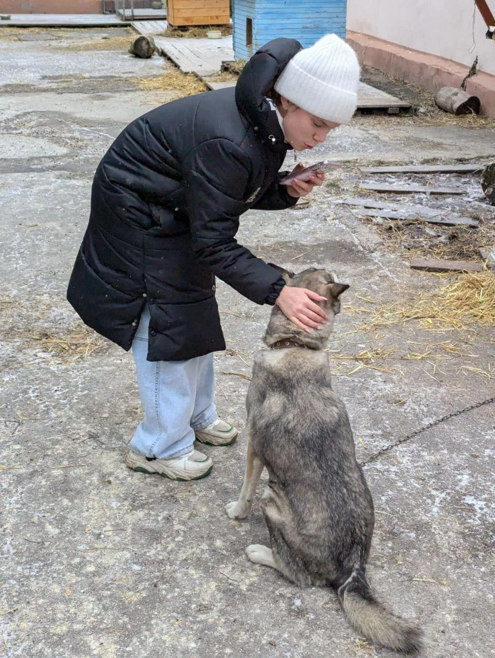 🐾 5 декабря в нашей школе состоялась благотворительная акция по сбору корма для бездомных животных «
