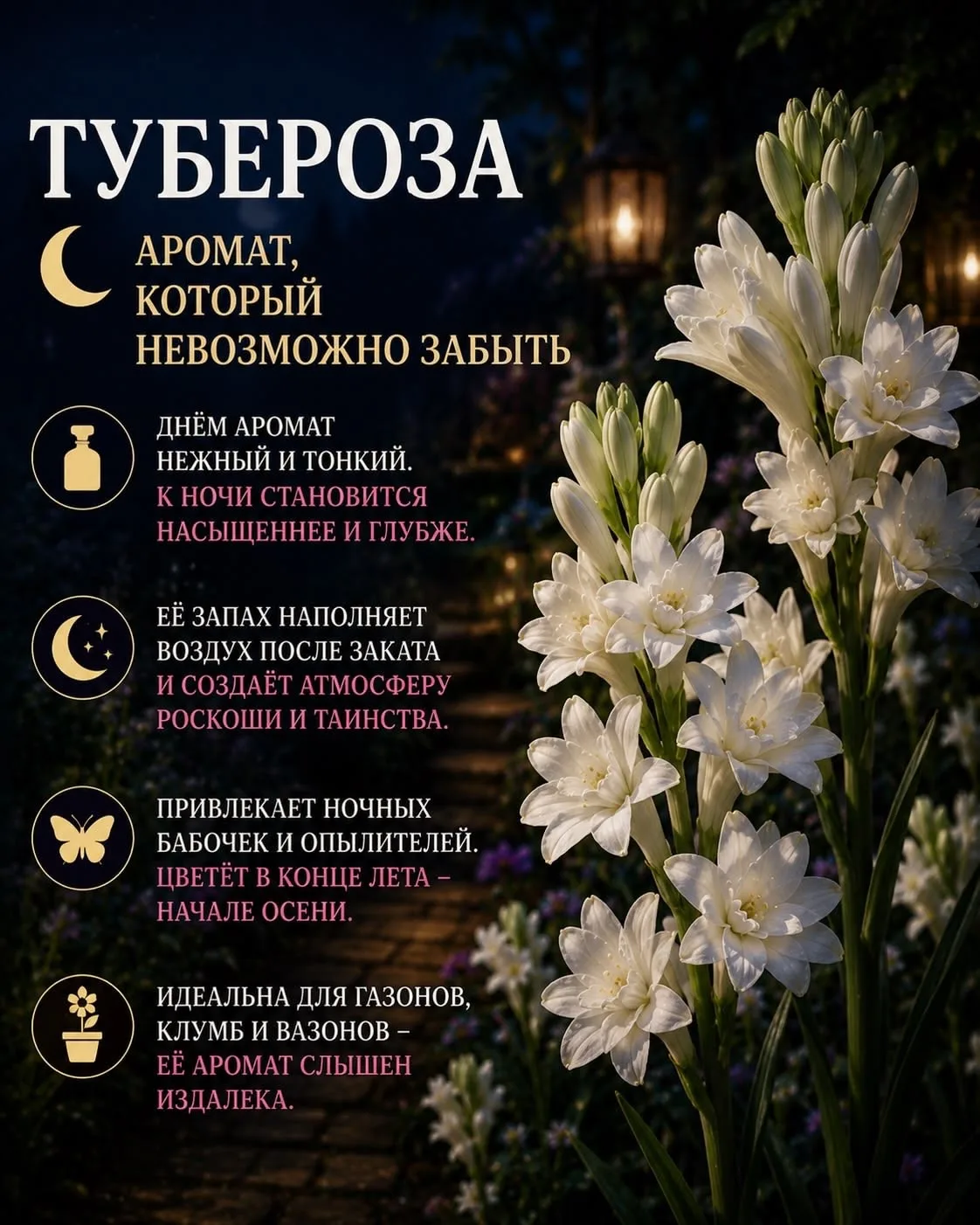 Дача | Подпишись 👇🏻