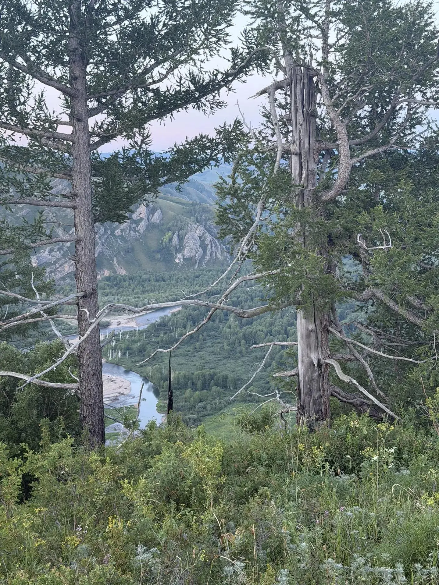 🏔️ Гора Козырь — место с видом на историю