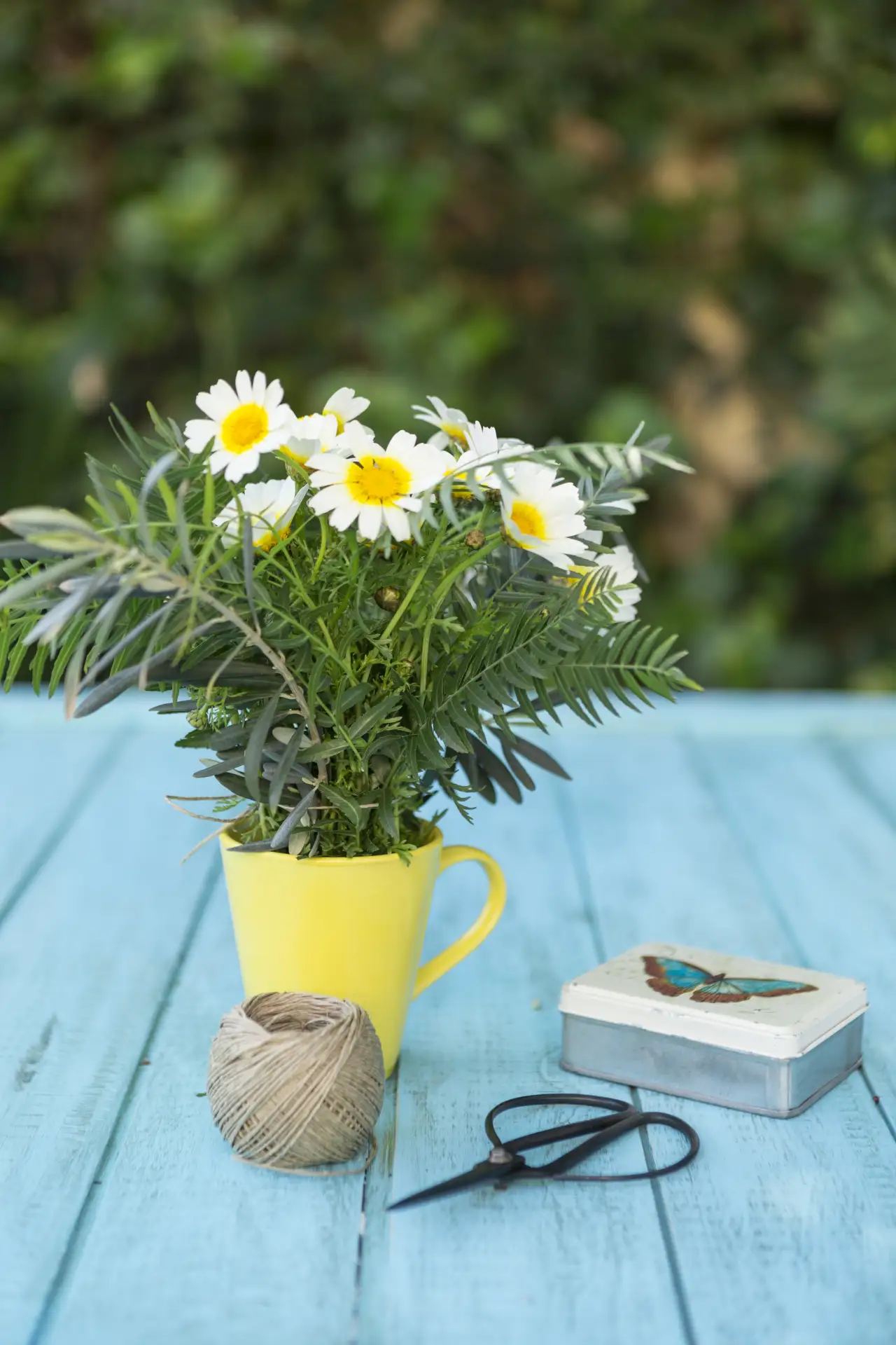 ☀️Твоё летнее настроение:

🌿 немного вдохновения
🎨 чуть-чуть красоты
💛 и душевная компания

Всё э