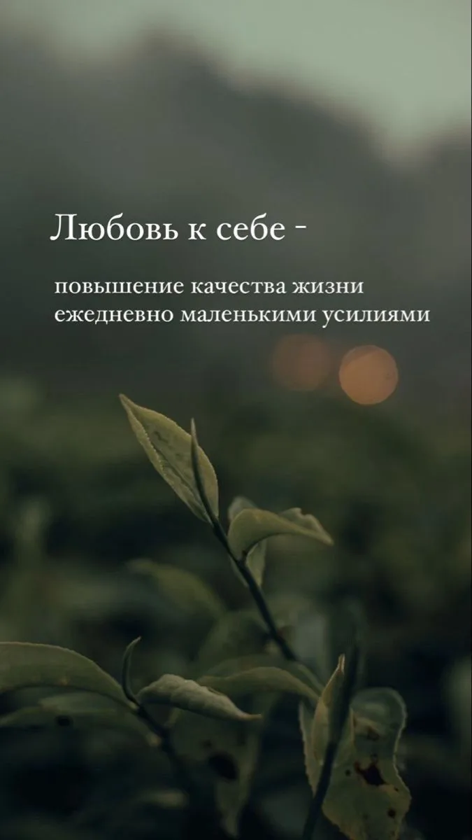 #мотивация