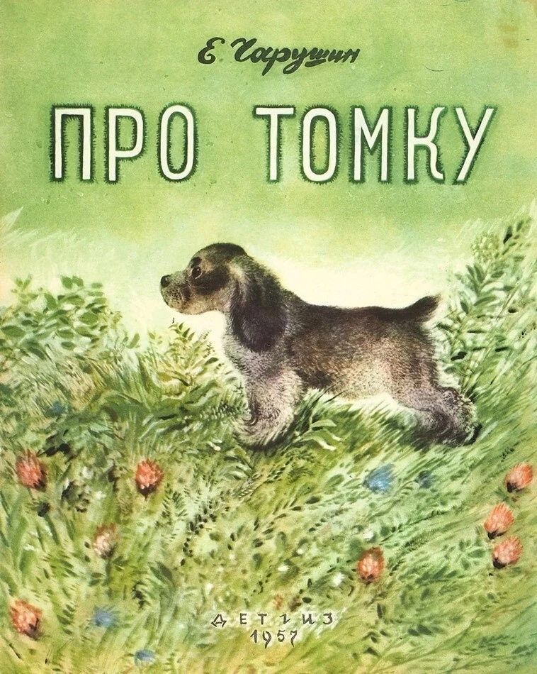Книги о животных вызывают неизменный интерес у детей дошкольного возраста!🦁   Такая литература явля
