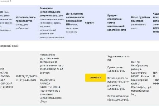 У экс-мэра Красноярска Логинова могут изъять земельный участок из-за долга по алиментам