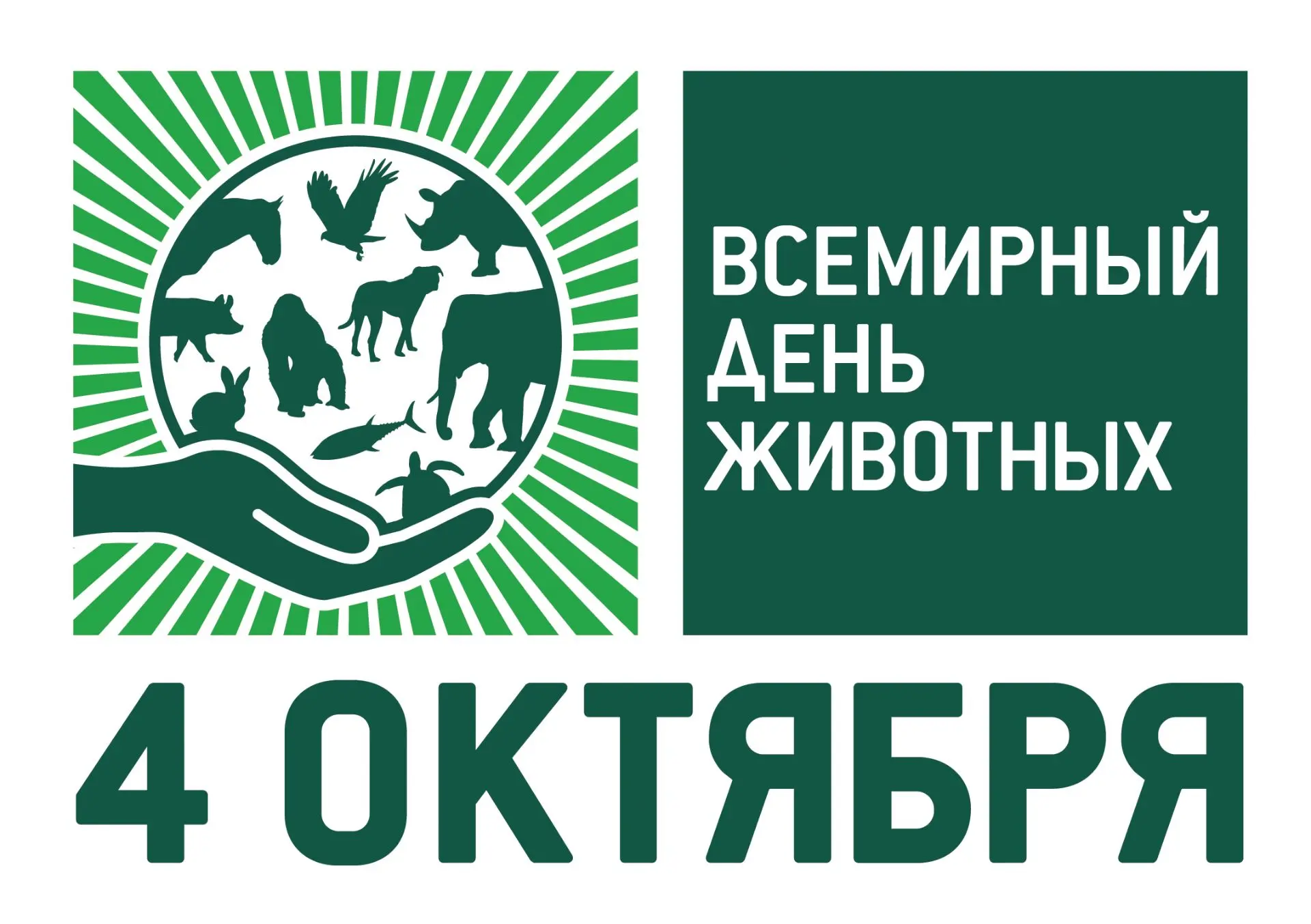 📣Приглашаем всех желающих присоединиться к благотворительной акции по сбору кормов для...