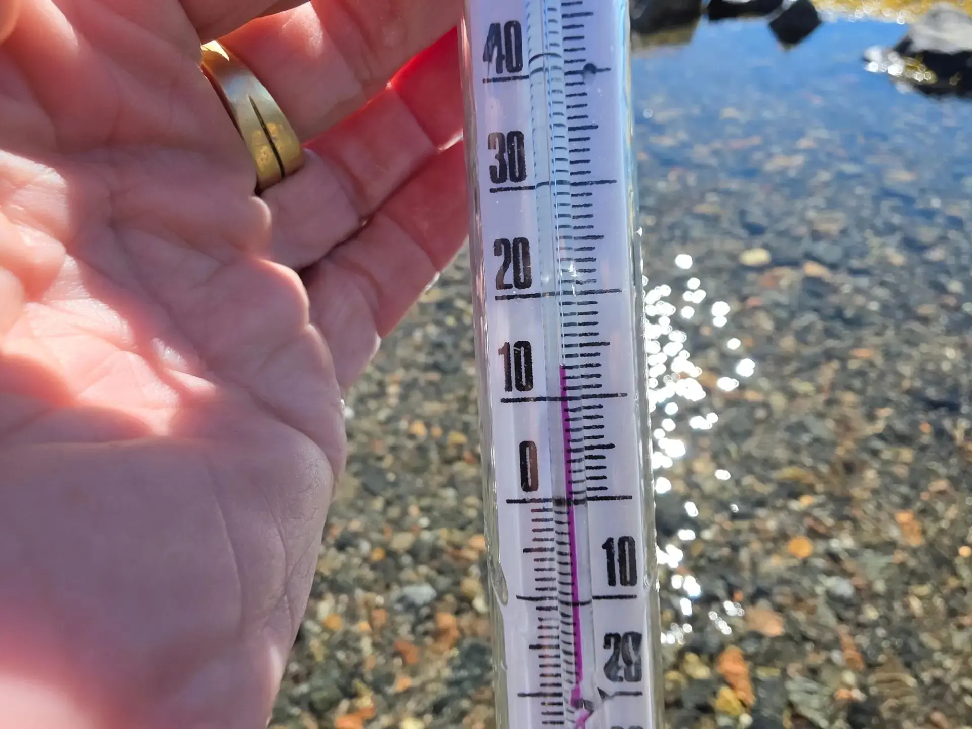 Температура воды в Белом море. Кандалакшский залив