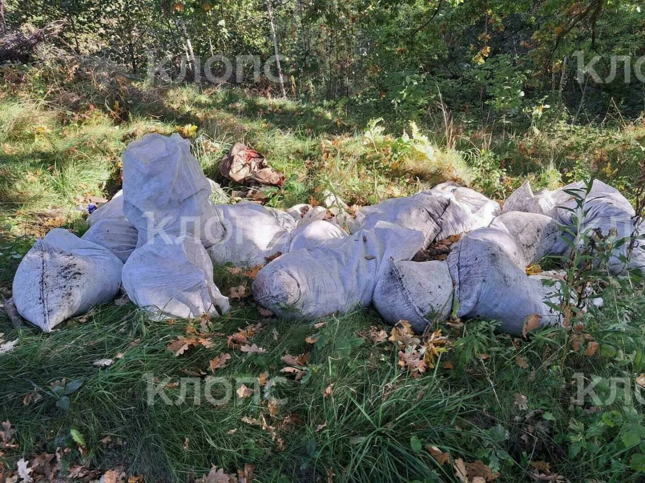 🗑️ «Магия леса» закончилась горами мусора: в Пионерском устроили свалку по пути к Камн...