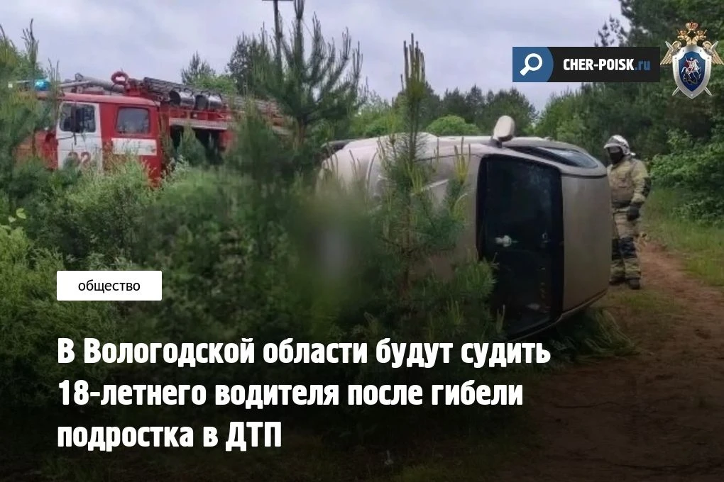 В Вологодской области 18-летнего жителя Санкт-Петербурга ждёт суд за смертельную поездк...