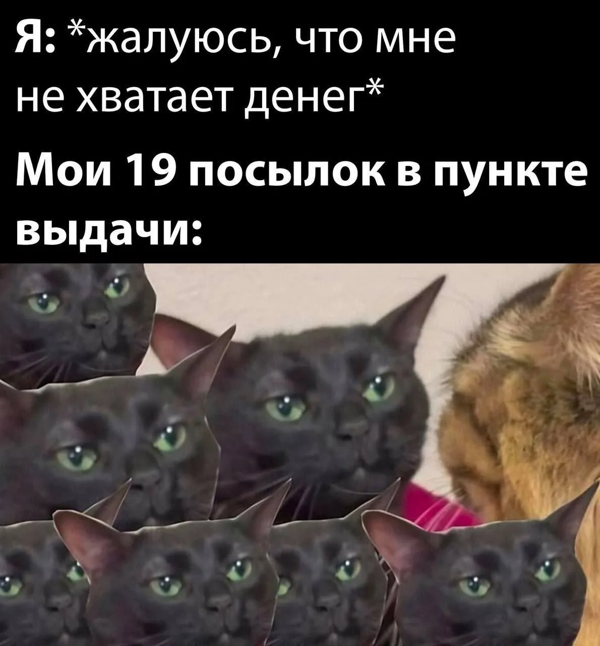 МЕМАСНАЯ