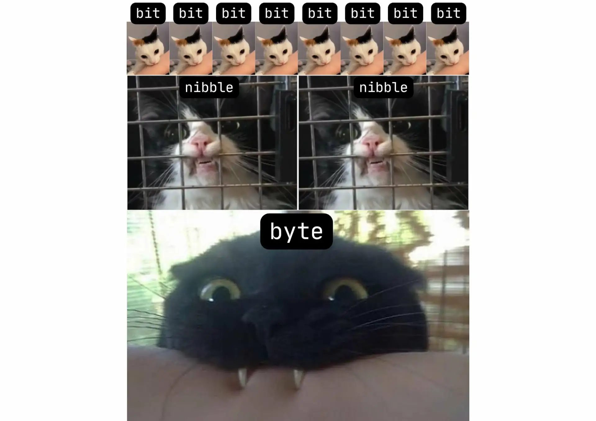 #mem_PVS