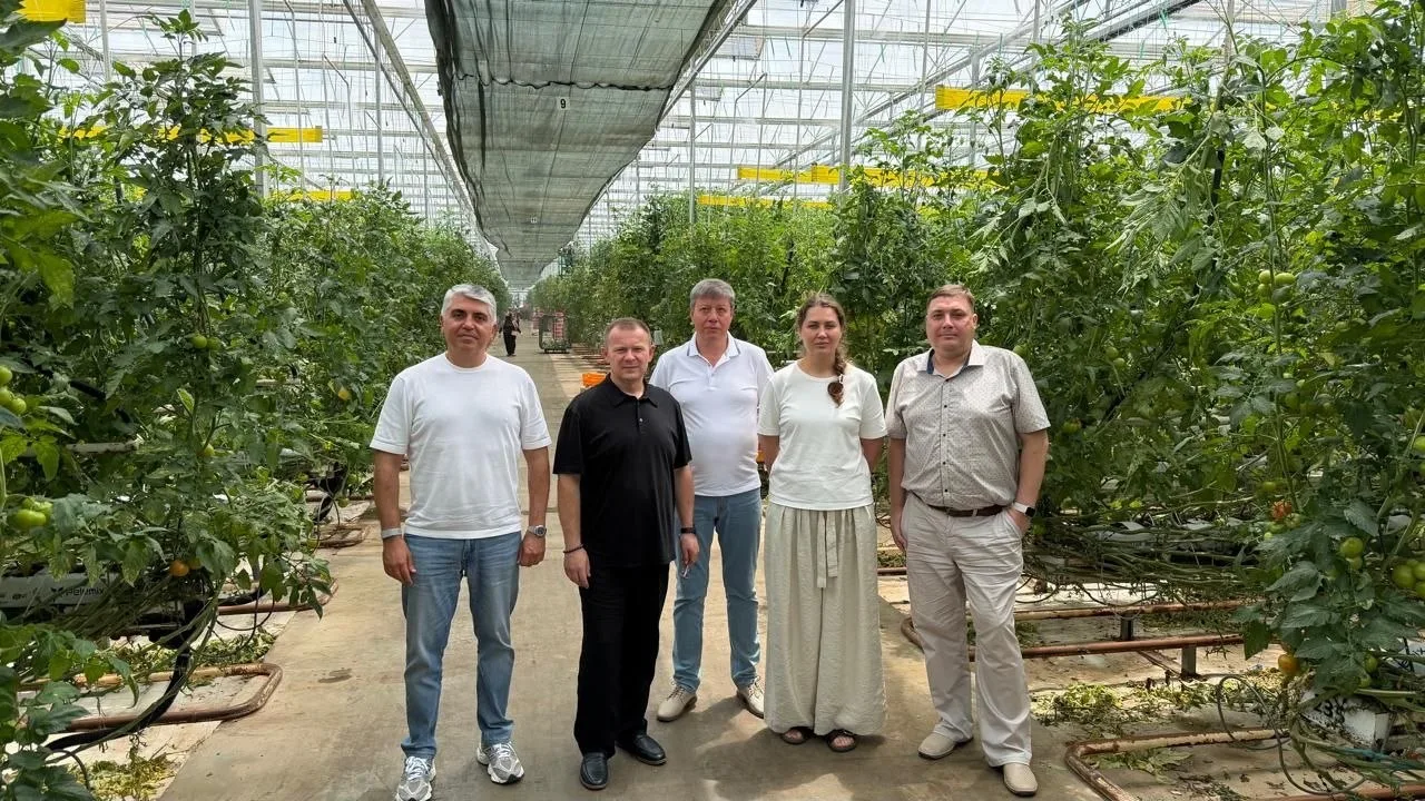 🍅 СОВРЕМЕННЫЕ ТЕПЛИЦЫ АЗЕРБАЙДЖАНА

Во время поездки в Азербайджан мы посетили современный тепличны