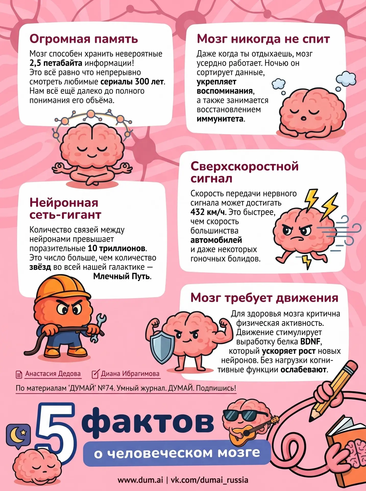 🧠 ПЯТЬ ФАКТОВ О МОЗГЕ