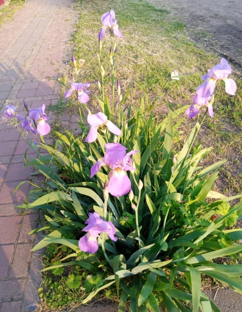 Доброе утро!  Сегодня, по прогнозу, днем +21...+23 🌤, местами возможен дождь.  Хорошего четверга!   