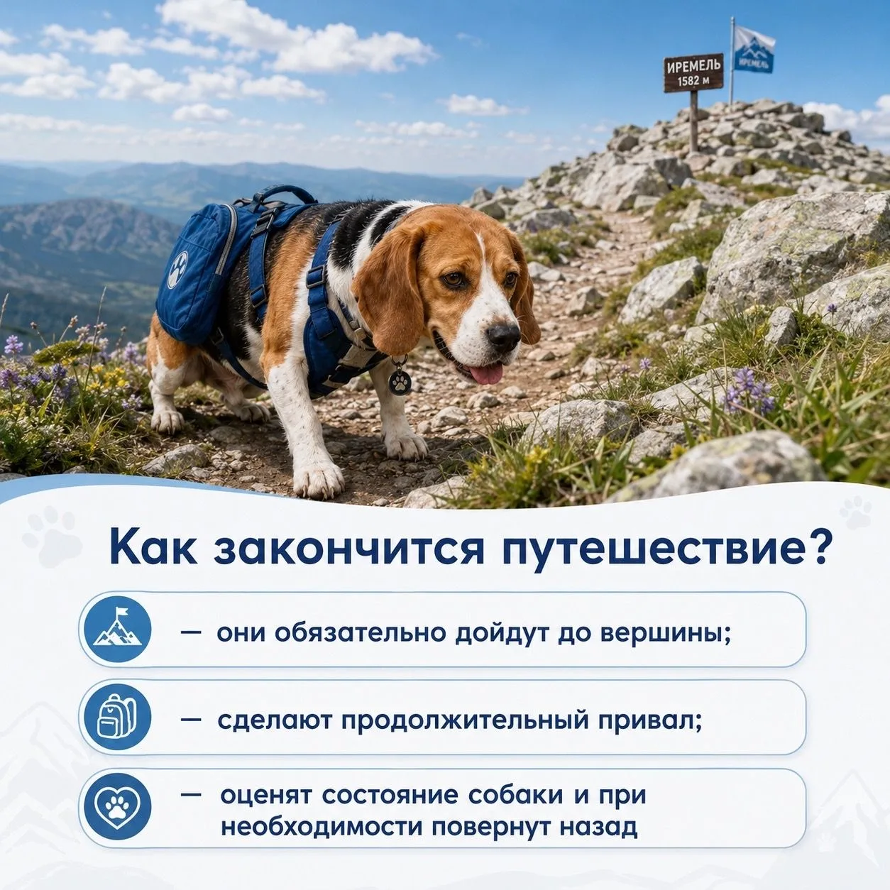 ДЕНЬ 4. ПРАЙД ПОКОРЯЕТ ГОРУ ИРЕМЕЛЬ🏔