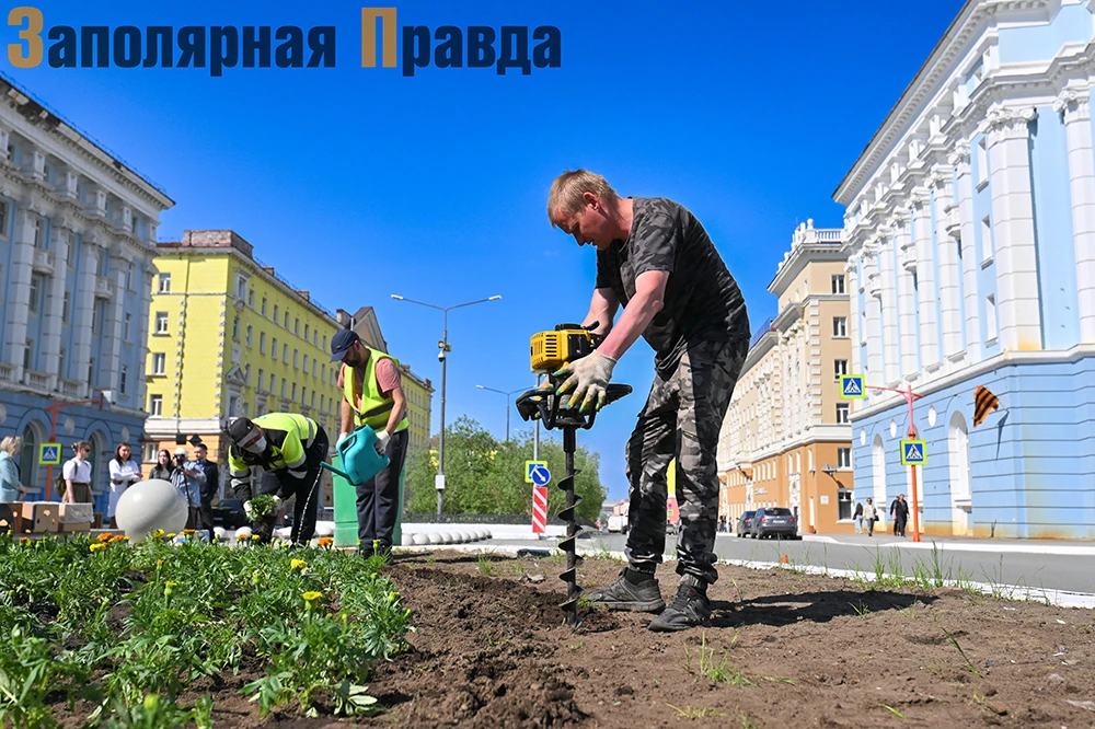 Город преображается и расцветает