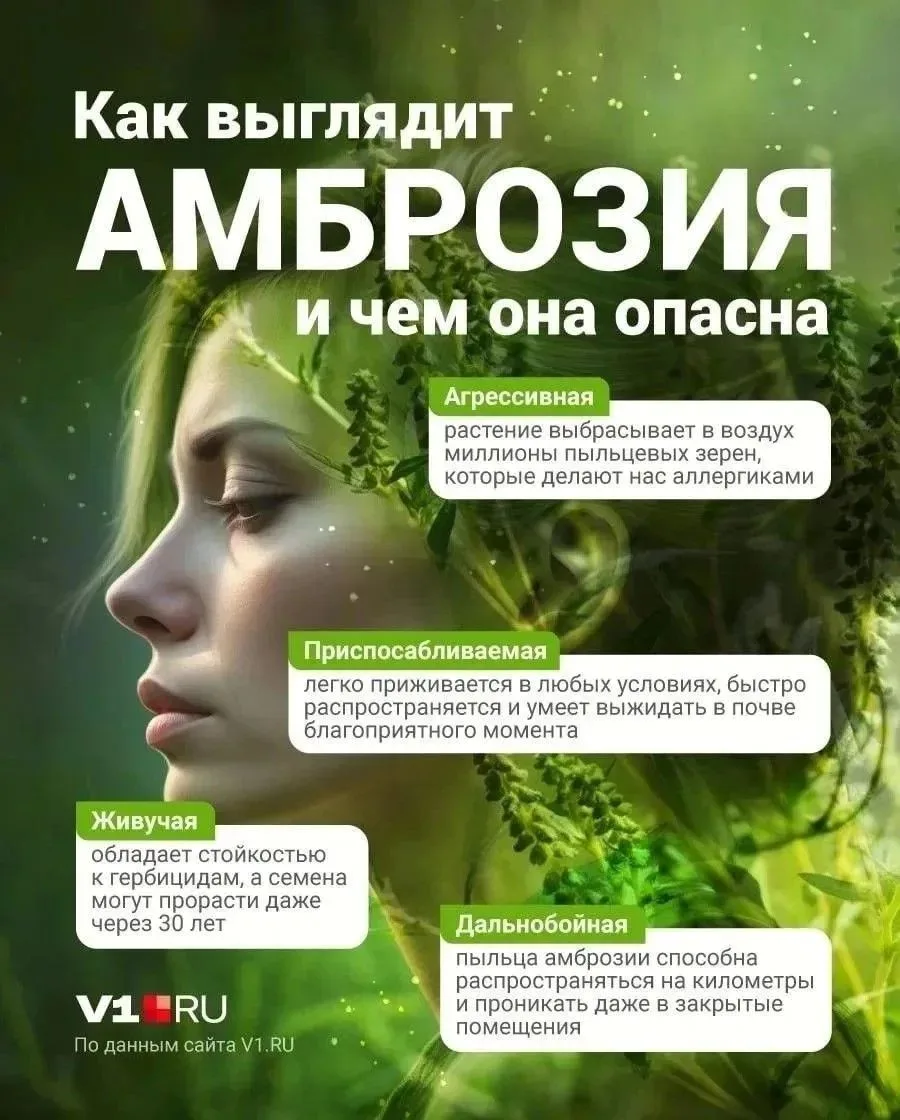 Уважаемые жители Журавского сельского поселения! Администрация сельского поселения наст...