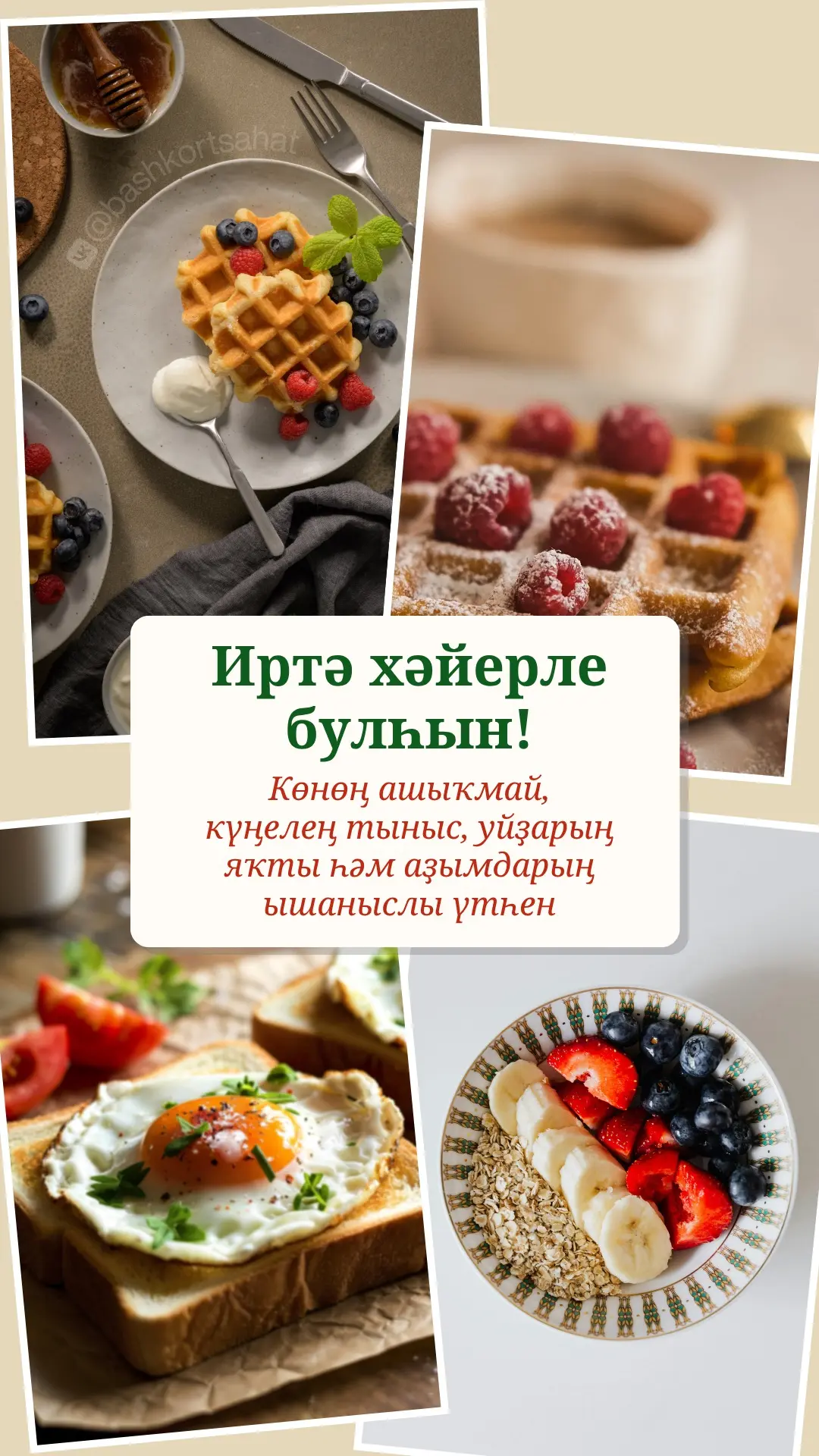 #хәйерлеиртә