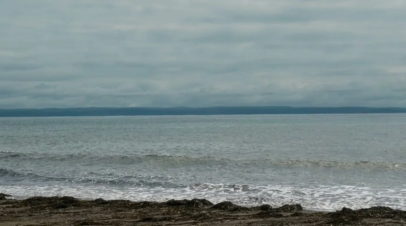 🌊 Все слышали крик с воды. Обернулся только один