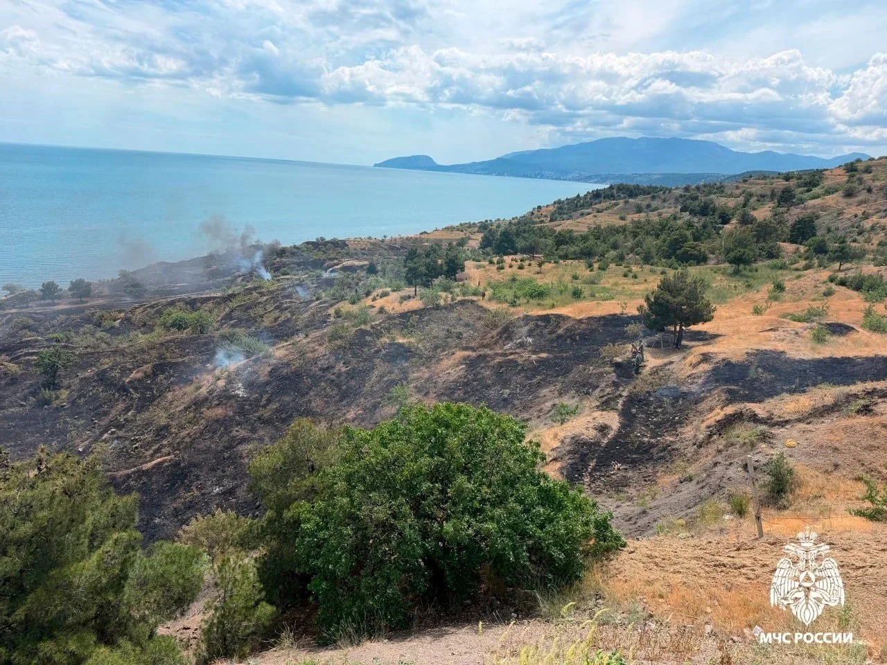 🔥 Сухая трава горит в Алуште на пяти гектарах.

Пожар произошел в селе Солнечногорское, рассказали 