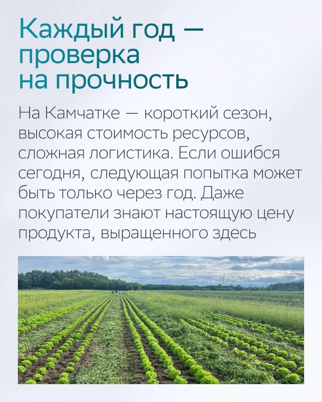 Изображение 6 к публикации «СберБизнес»