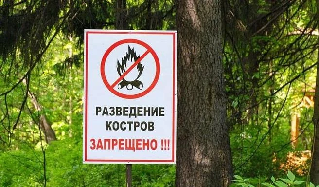 В Сочи введен особый режим: разводить костры и жарить шашлыки запрещено
За его соблюдением следят с