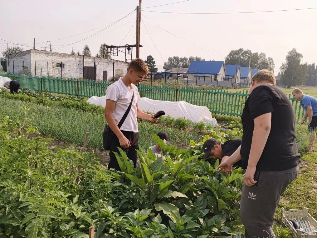 🎉 Первый урожай на нашем учебно-опытном участке! 🎉Сегодня мы собрали первые плоды нашего общего тр