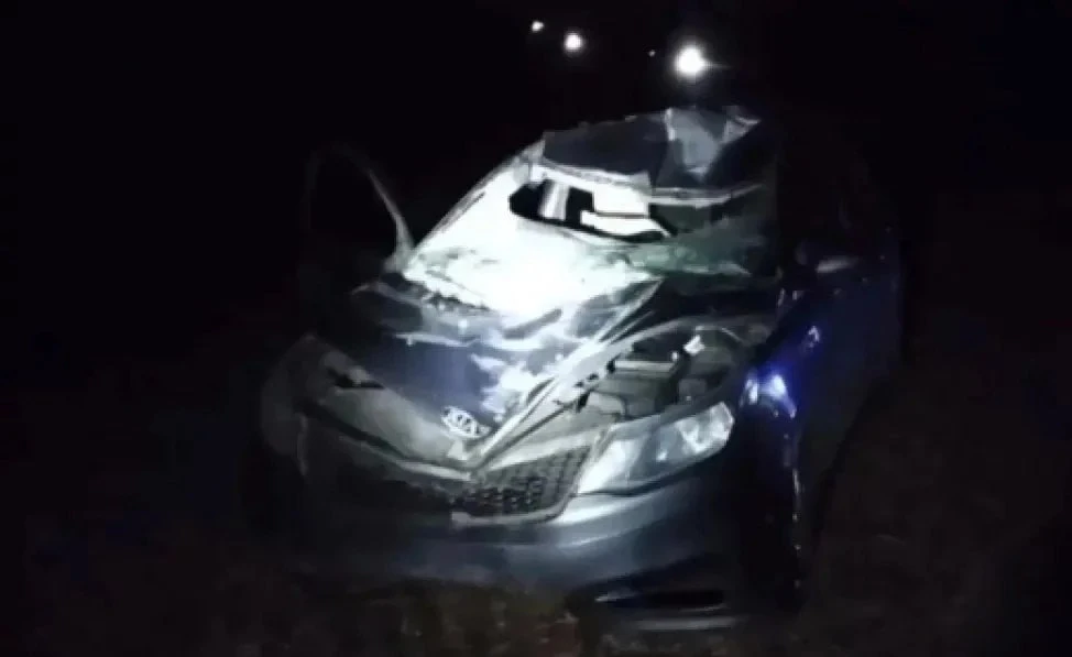 Kia Rio съехала с трассы из-за выбежавшего животного