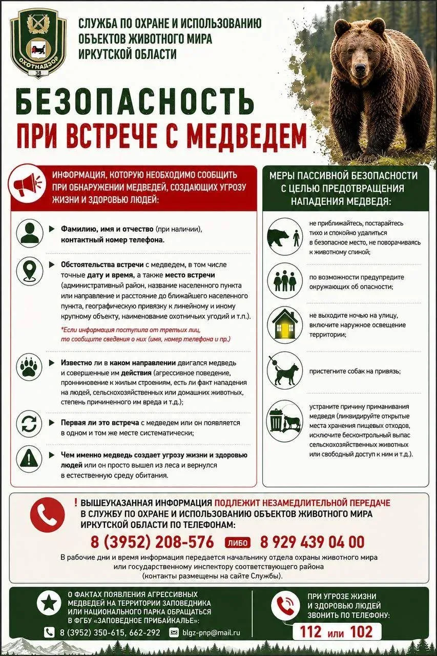 В Иркутской области введён режим повышенной готовности из-за участившихся случаев выход...