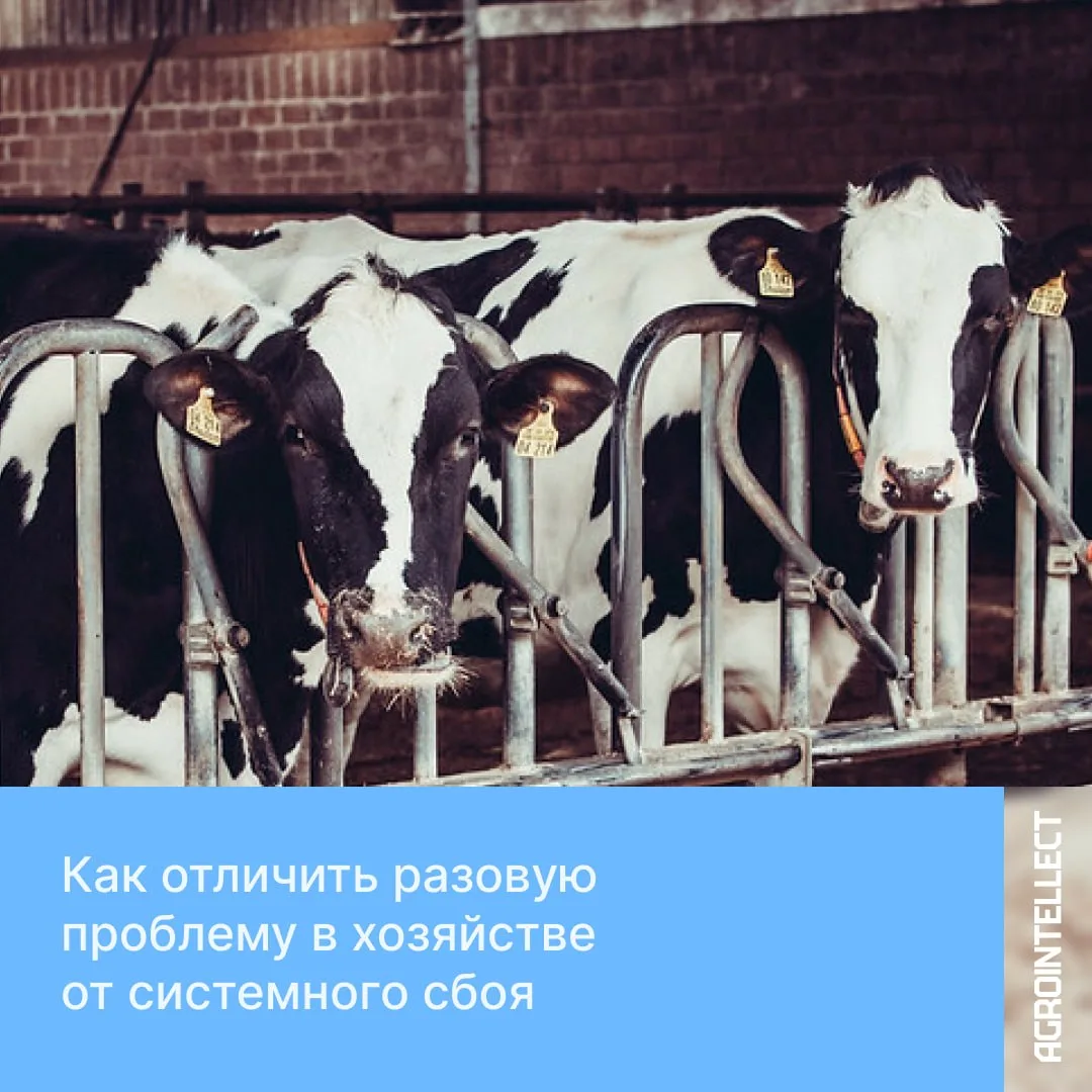 Как отличить разовую проблему в хозяйстве от системного сбоя