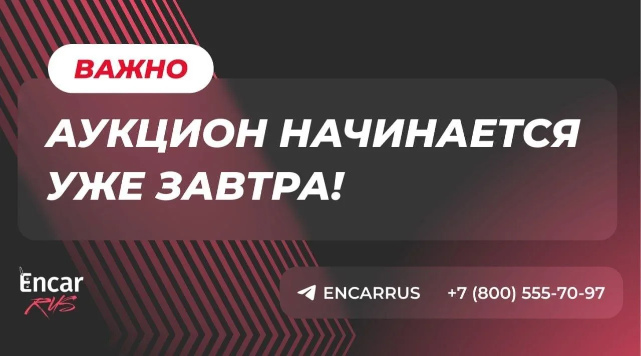 🔔 Обновили аукционный список автомобилей из Южной Кореи!

Запустили полноценный каталог аукционных 