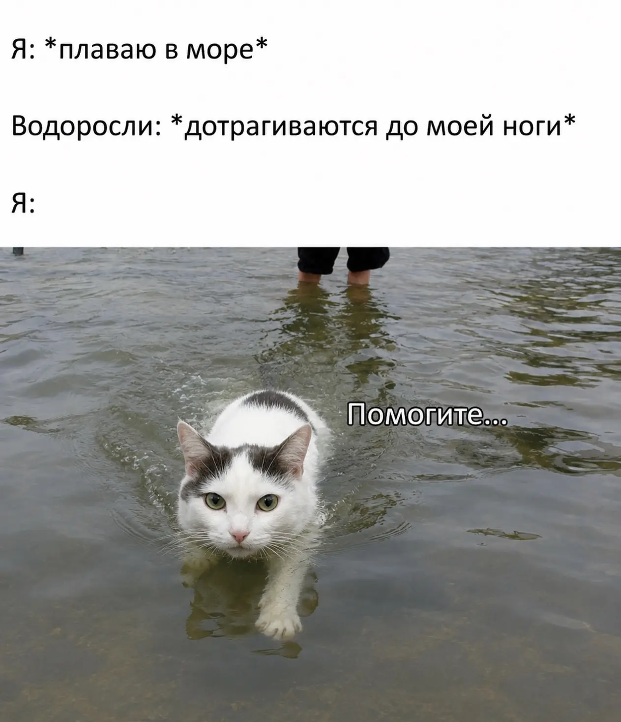 Подпишись на юмор 😂