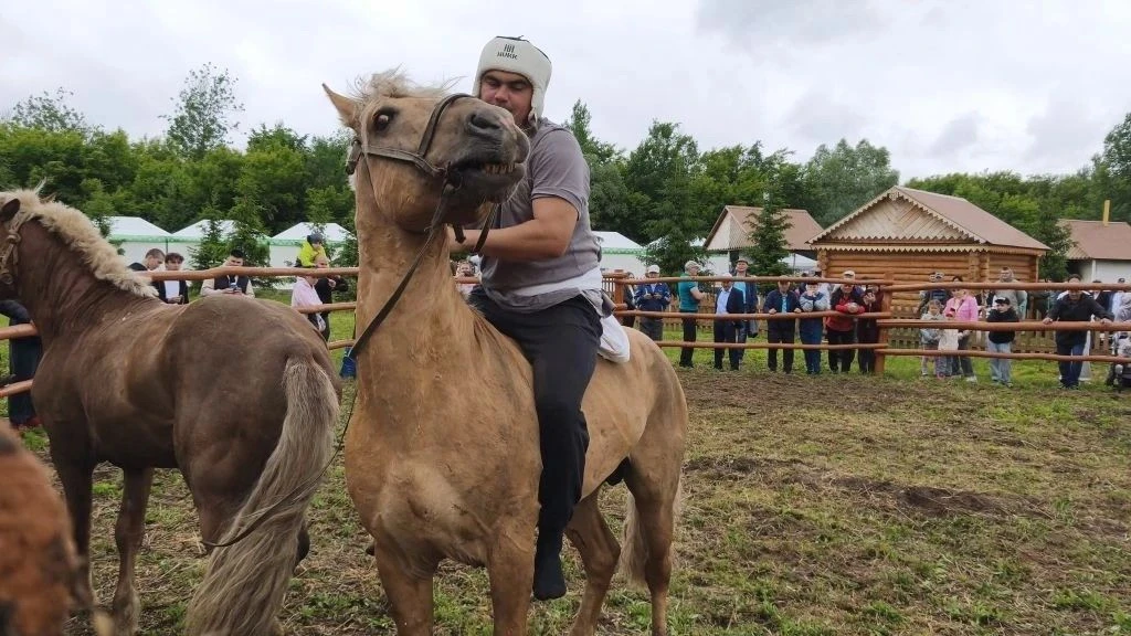 ⚡️6 июня силами сотрудников ГБУ "Черемшанское РГВО" на празднике "Сабантуй-2026" был проведен конкур
