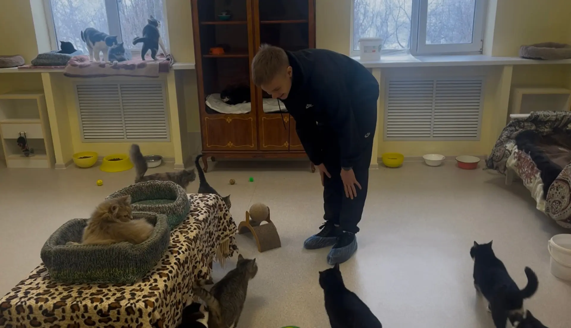 😼 День кошек в КИИМО: делаем мир добрее вместе  В честь Международного дня кошек волонтёрское объеди