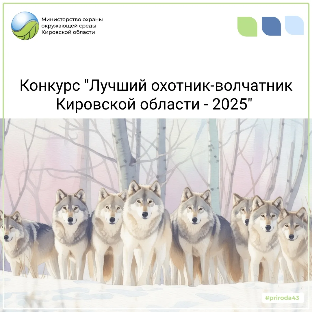 Министерством объявлен конкурс «Лучший охотник-волчатник Кировской области 2025 года».