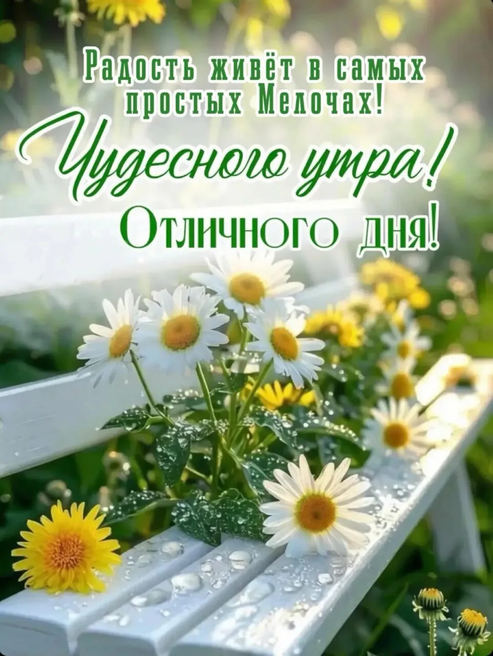 Понравилась открытка? Жми ❤ и делись настроением!