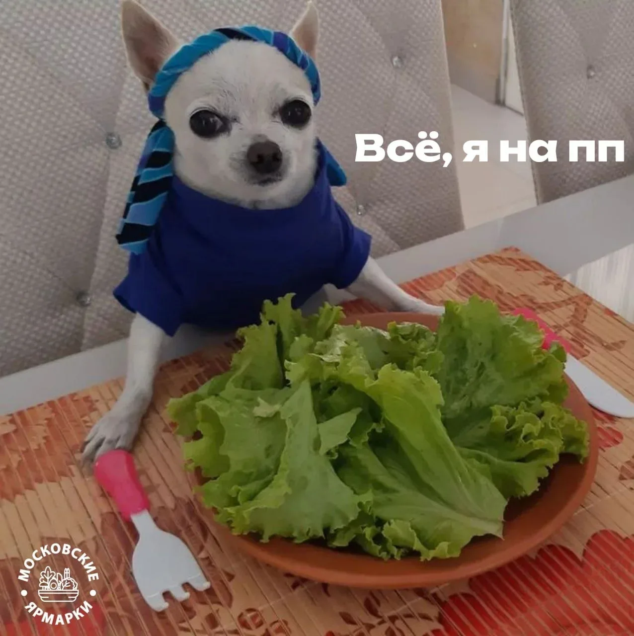 🥬 Свежая зелень — главный хит московских ярмарок