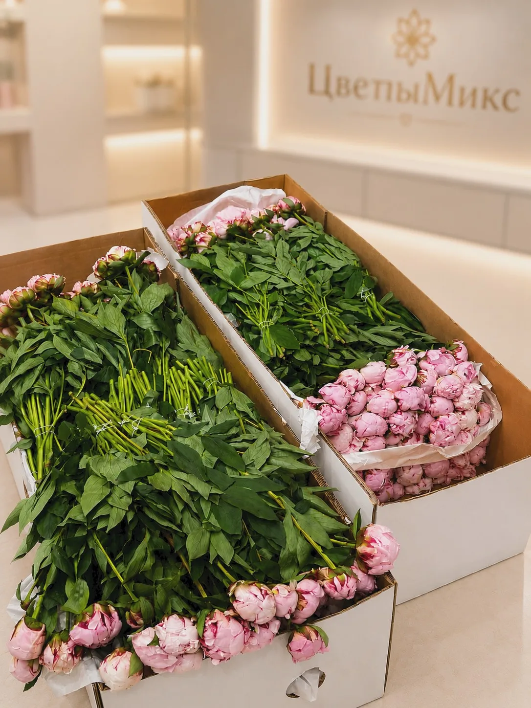 🌸 Свежие пионы уже в наличии!

Сезон пионов подходит к концу, а значит сейчас самое время порадоват