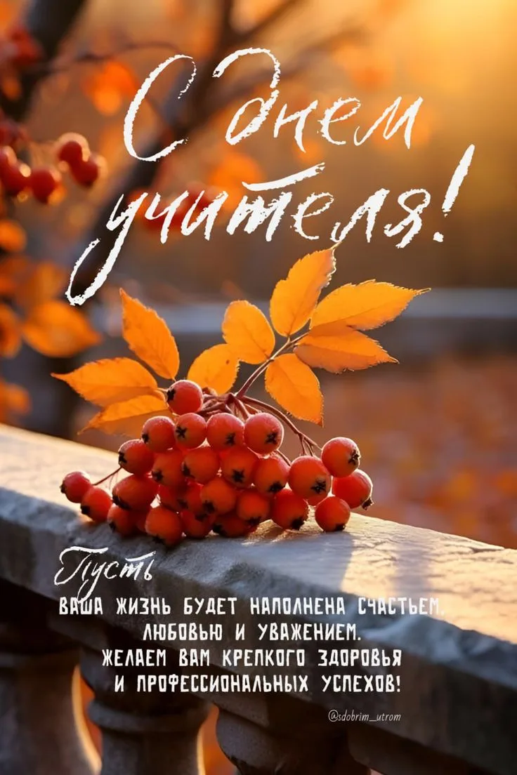 С днем учителя!