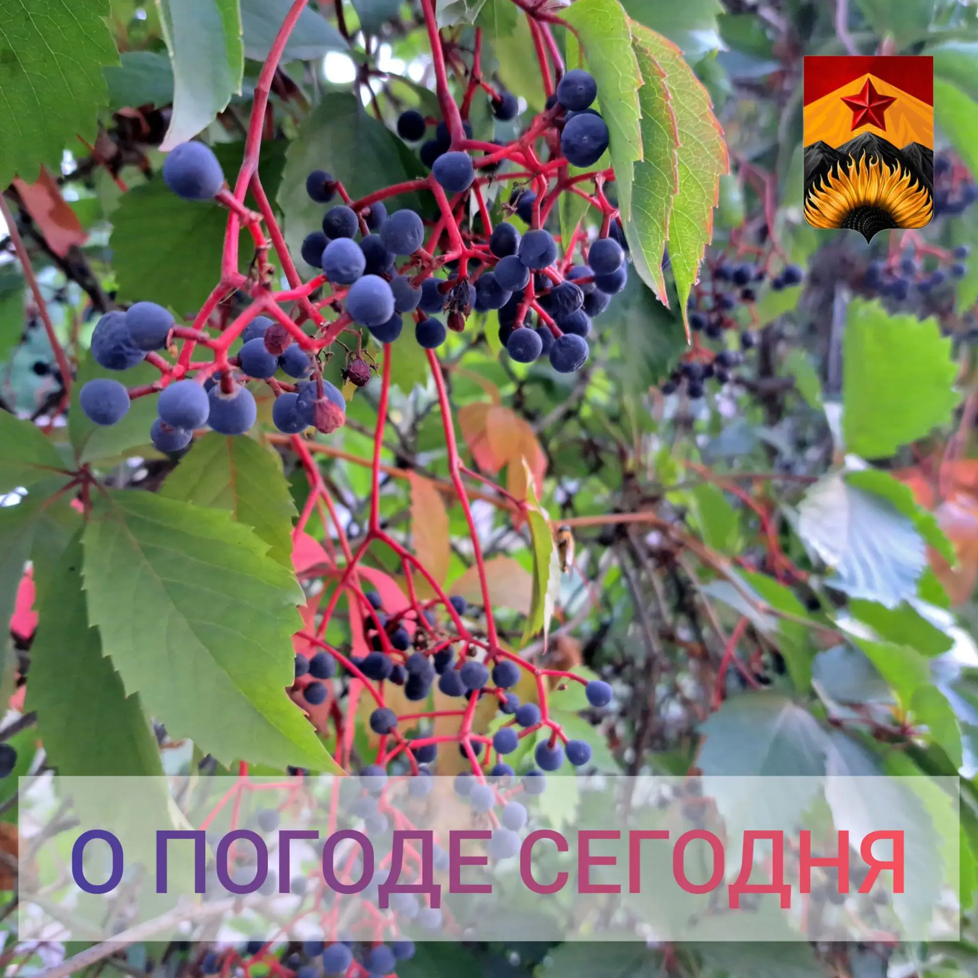 Гидрометцентр сообщил о погоде в Шахтерском округе