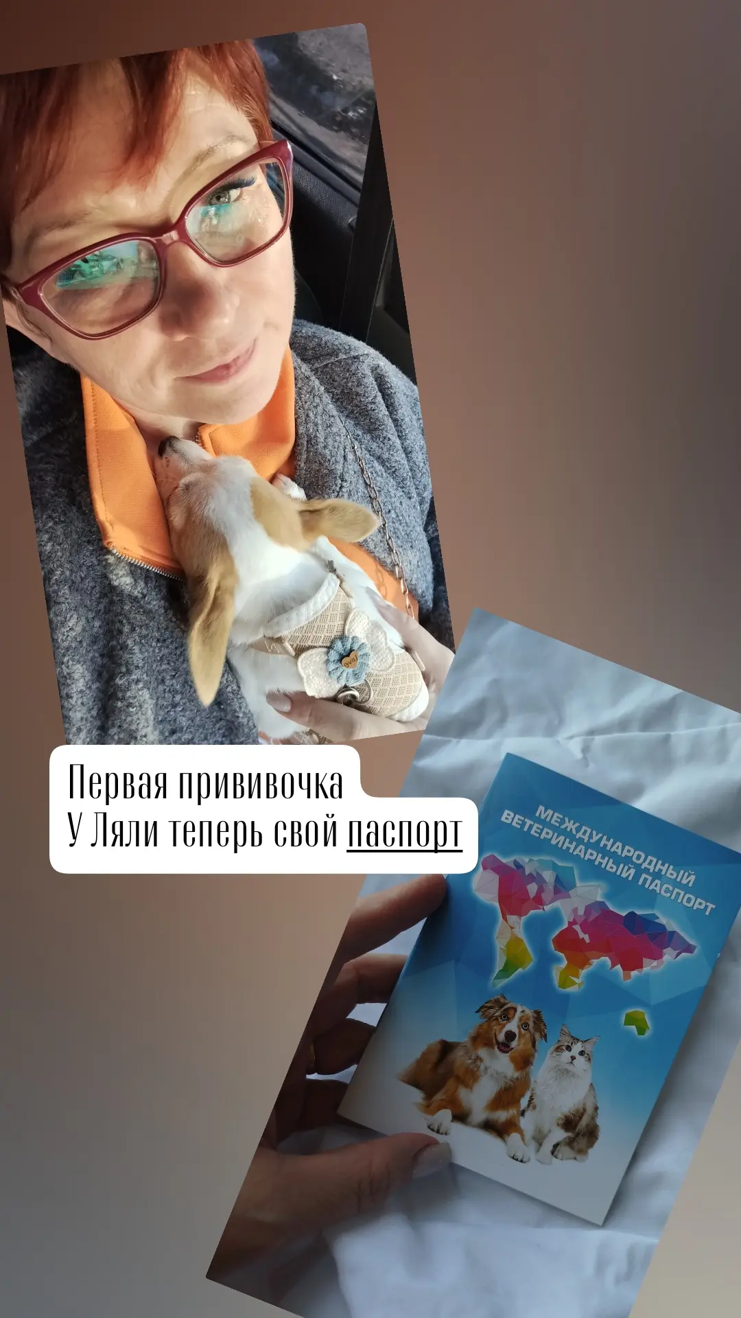 В перерывах между клиентами съездили привиться.