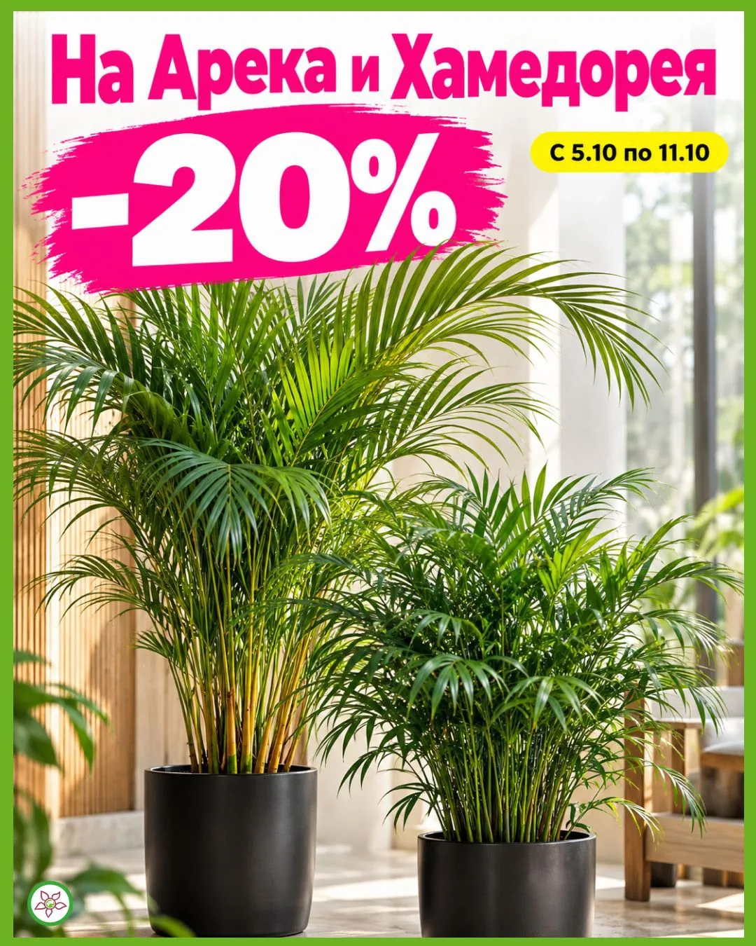 🌴 С 5 по 11 октября — скидка 20% на хамедорею и ареку! 🌿