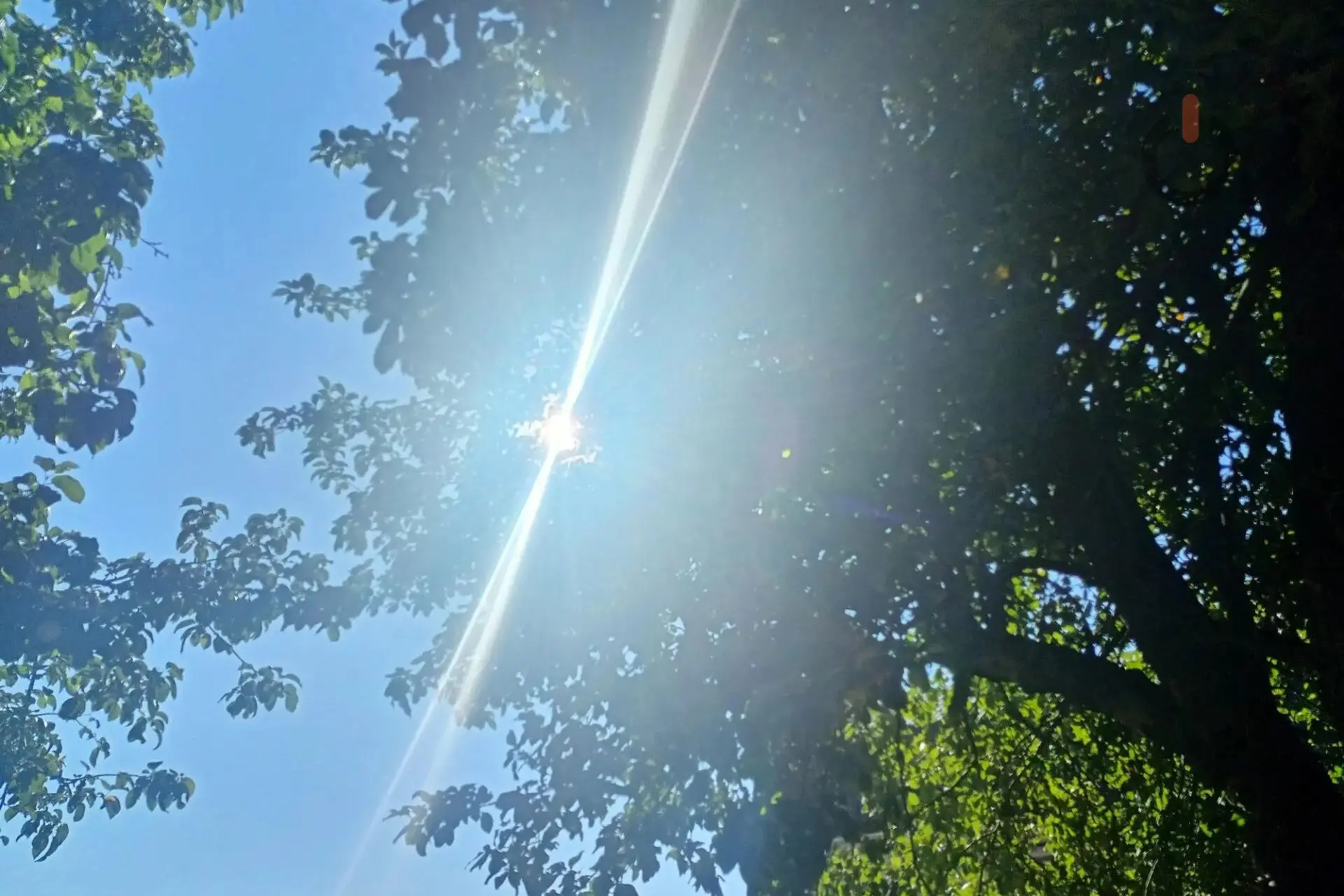 ☀️ Первая учебная неделя побалует тамбовчан теплом. По данным портала Gismeteo, с понед...