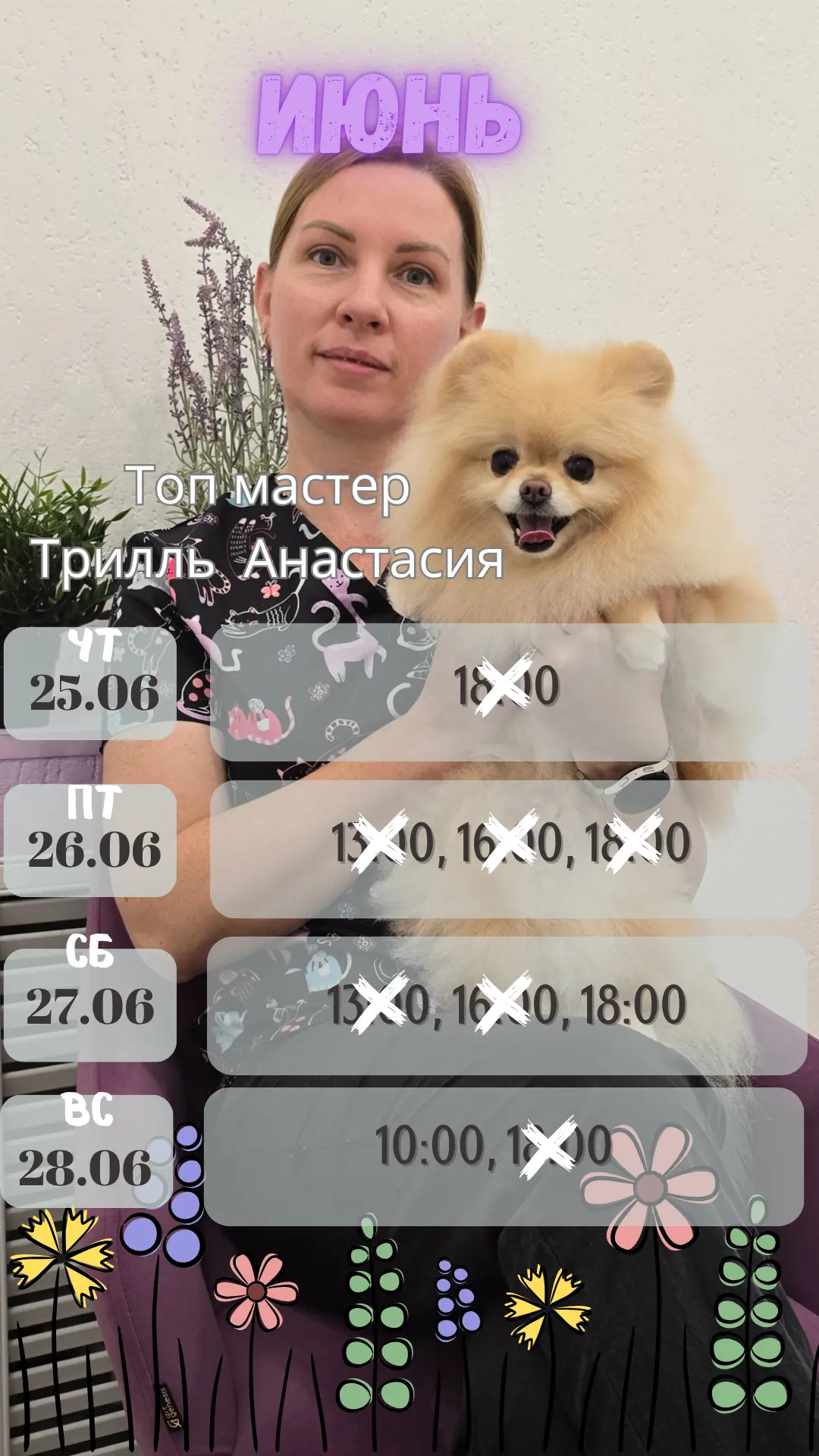 Окошки  июнь